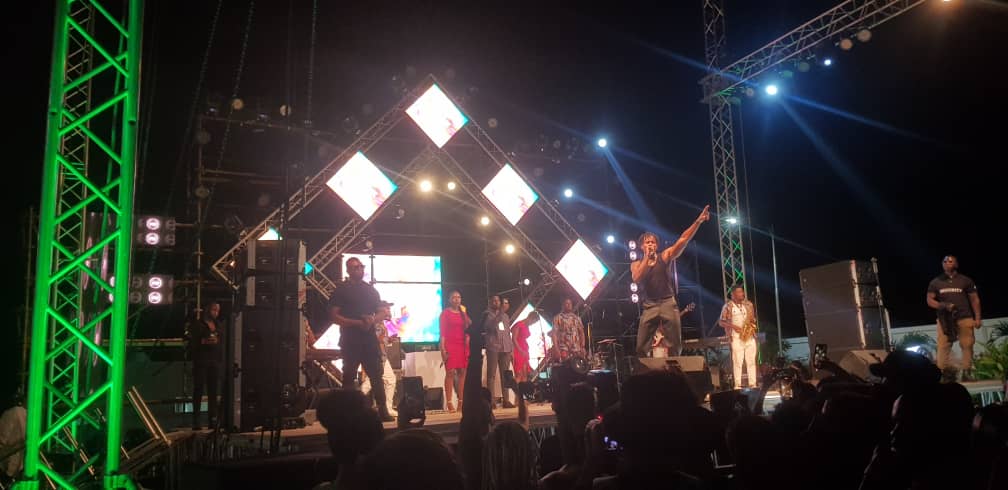 ZSOUND   VCL&S221 Unleashing the Power of Line Array Sound System for Concerts in Tanzania!